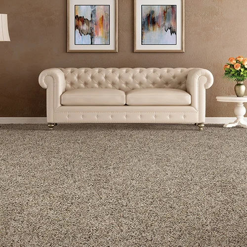 Superb Carpets Flooring Inc providing easy stain-resistant pet friendly carpet in Wheaton, IL